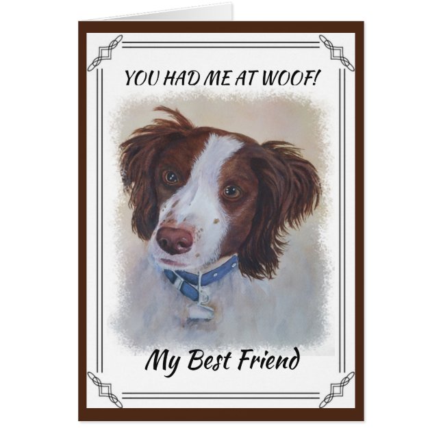 STATELY AUBURN SETTER MIX (Voorkant)