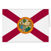 Statenvlag van Florida (Voorkant Horizontaal)