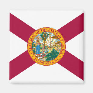Statenvlag van Florida Magneet