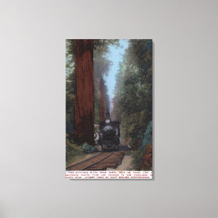 Station Big Tree Canvas Afdruk