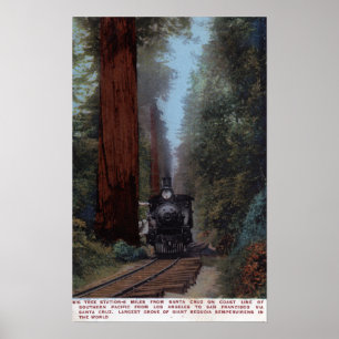 Station Big Tree Poster