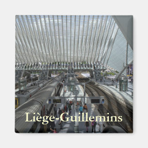 Station Luik-Guillemins Magneet