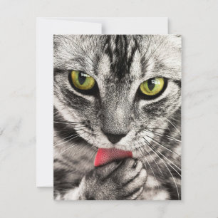 Stationery Greeting Cards Holida-uitnodigingen Feestdagenkaart