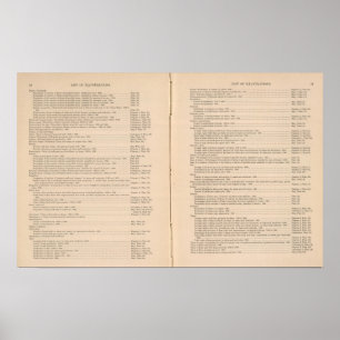 Statistische atlas 1900 8 poster