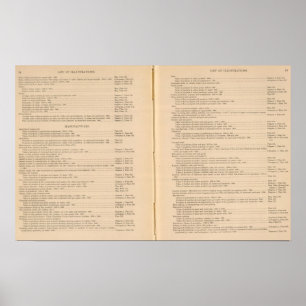 Statistische atlas 1900 9 poster