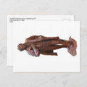 Statue de Thaddeus Stevens à Gettysburg, carte pos (Devant / Derrière)