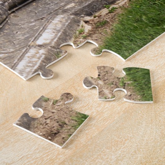 Statue Le Rhone in the garden of Versailles castle Legpuzzel (Zijkant)