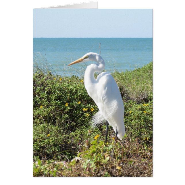 Statuesque Heron (Devant)