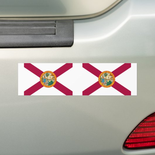 Status van Florida Bumpersticker (Op auto)