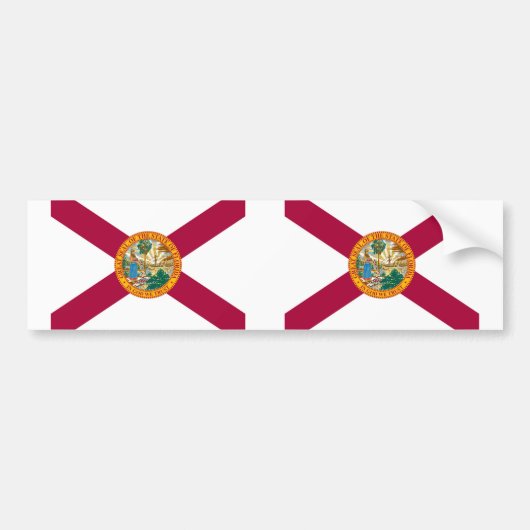 Status van Florida Bumpersticker (Voorkant)