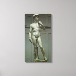 Statuut van David van Michelangelo Canvas Afdruk