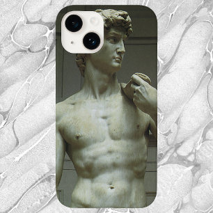 Statuut van David van Michelangelo