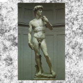 Statuut van David van Michelangelo Poster