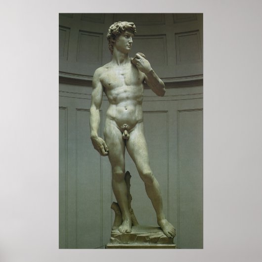 Statuut van David van Michelangelo Poster (Voorkant)