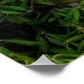 Staven van de wolken, Appalachian Trail Poster (Hoek)