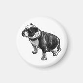 Stays Grounded Magneet (Voorkant)