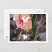 STC_0027 BRIEFKAART (Voorkant / Achterkant)