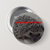 std egel-knop ronde button 7,6 cm (Voorkant /achterkant)