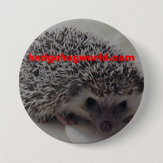 std egel-knop ronde button 7,6 cm (Voorkant)