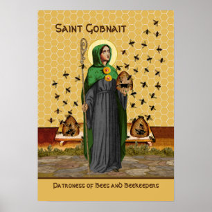 Ste Gobnait de Ballyvourney (SAE 003) Affiche