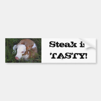Steak is smerig bumpersticker