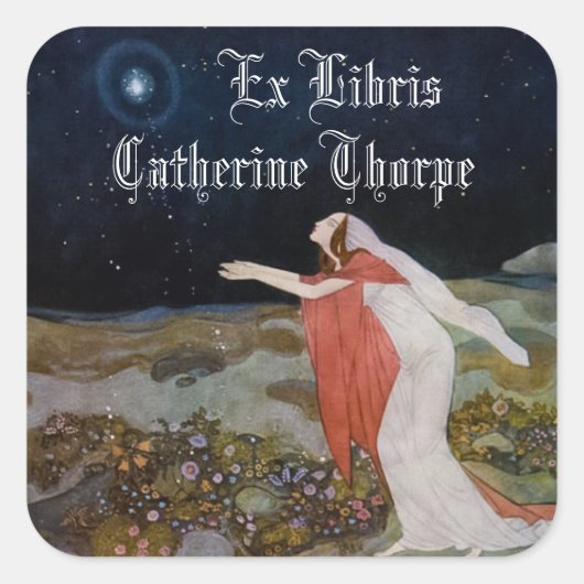 Stealers van Lichte Boekplaat Sticker (Voorkant)