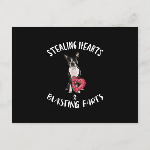 Stealing Hearts blaast naar Boston Terrier Briefkaart