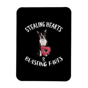 Stealing Hearts blaast naar Boston Terrier Magneet