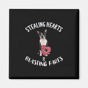 Stealing Hearts blaast naar Boston Terrier Magneet