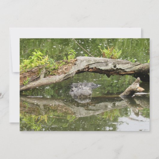 Stealth Alligator Platte Kaart (Voorkant)