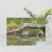 Stealth Alligator Platte Kaart (Staand voorkant)