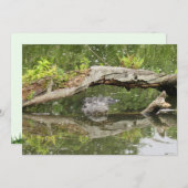 Stealth Alligator Platte Kaart (Voorkant / Achterkant)