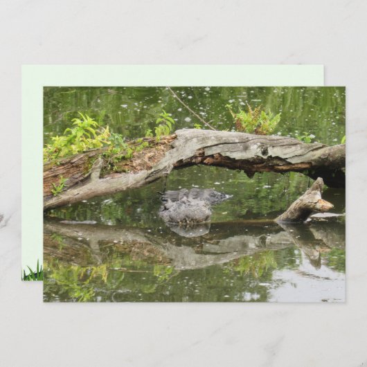 Stealth Alligator Platte Kaart (Voorkant / Achterkant)