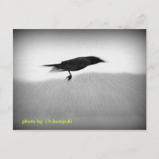 Stealth Crow Briefkaart