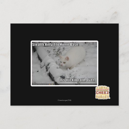 Stealth Kat 1 Briefkaart (Voorkant)