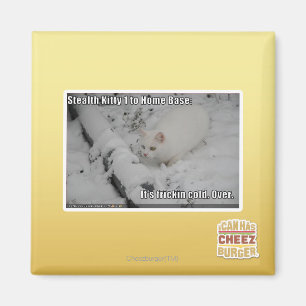 Stealth Kat 1 Magneet