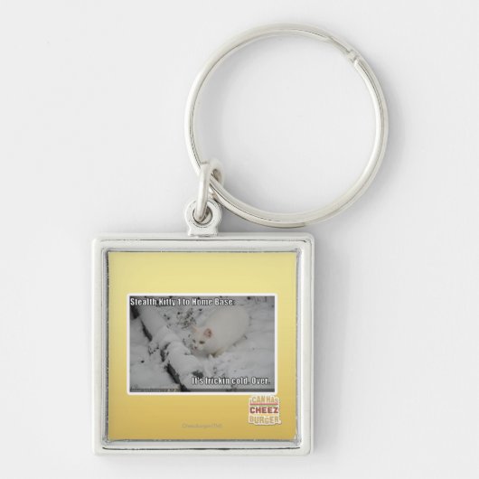 Stealth Kat 1 Sleutelhanger (Voorkant)