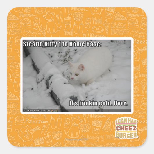 Stealth Kat 1 Vierkante Sticker (Voorkant)