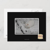 Stealth Kitty 1 Briefkaart (Voorkant / Achterkant)