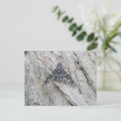 Stealth-Wing Fly Briefkaart (Staand voorkant)