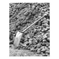 STEAM COAL