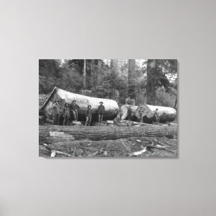 Steam Logging in de Cascades van Washington Stat Canvas Afdruk