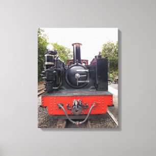 STEAM TRAINS CANVAS AFDRUK