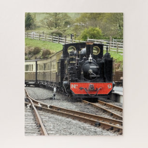 STEAM TRAINS LEGPUZZEL