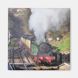 STEAM TRAINS MAGNEET