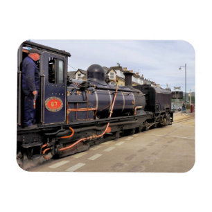STEAM TRAINS MAGNEET