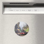 STEAM TRAINS MAGNEET (Insitu (Vaatwasser))