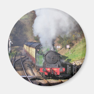 STEAM TRAINS MAGNEET