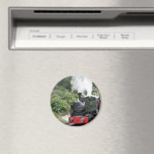 STEAM TRAINS MAGNEET (Insitu (Vaatwasser))