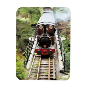 STEAM TRAINS MAGNEET